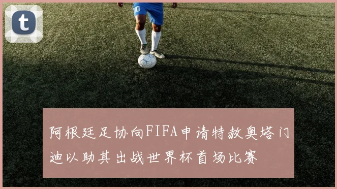 阿根廷足协向FIFA申请特赦奥塔门迪以助其出战世界杯首场比赛