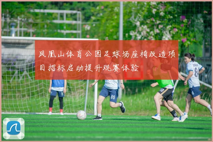 凤凰山体育公园足球场座椅改造项目招标启动提升观赛体验